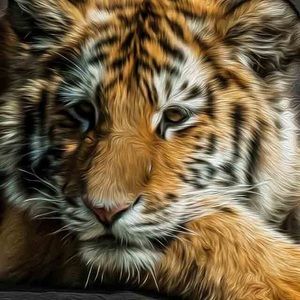 Meet your Posher, Tracey